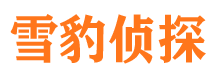 丹阳找人公司